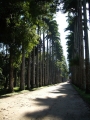 jardim botanico jardim botanico