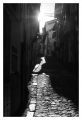Candelario Candelario