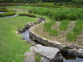 Edo Shegun palace - garden Edo Shegun palace - garden