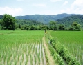 laos 6 laos 6